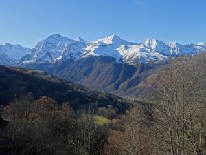 Mont - Germ (1)                         